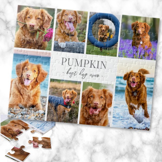 Puzzle Collage de photos de chien simple (Simple Dog Pet Photo Collage jigsaw puzzle)
