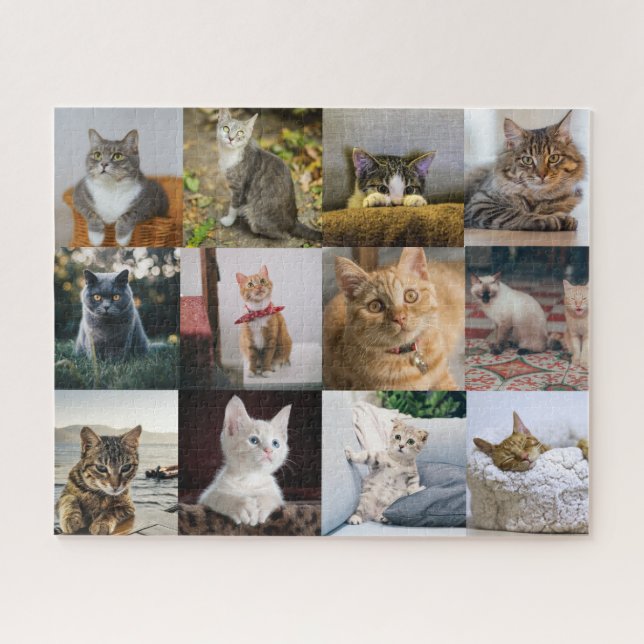 Puzzle Collage de photos de mon chat sur (Horizontal)