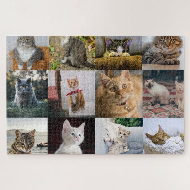 Puzzle Collage de photos de mon chat sur (Horizontal)