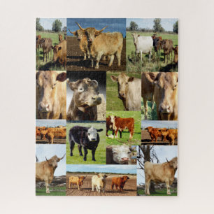 Puzzle Collage de photos de vache,