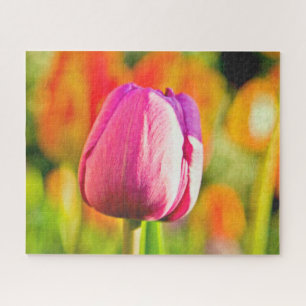Puzzle Collage de tulipe
