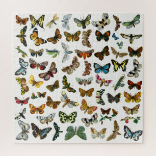 Puzzle Collage papillon, papillon et chenille Jigsaw Puz