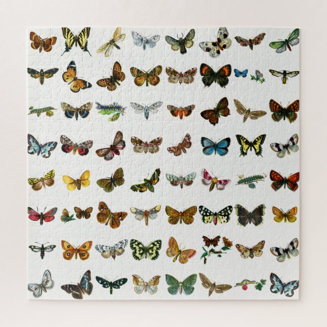Puzzle Collage papillon, papillon et papillon (Vertical)