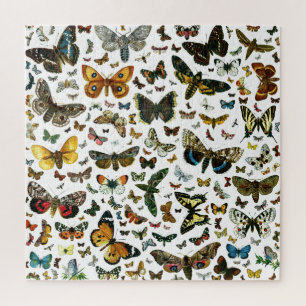 Puzzle Collage papillon - une multitude de papillons et d