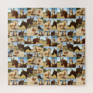 Puzzle Collage photo de Palomino Horses,