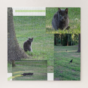 Puzzle Collage Puzzle: Cat in Action