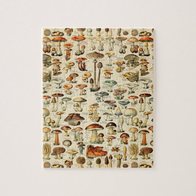 Puzzle Collection de champignons (Vertical)