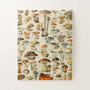 Puzzle Collection de champignons