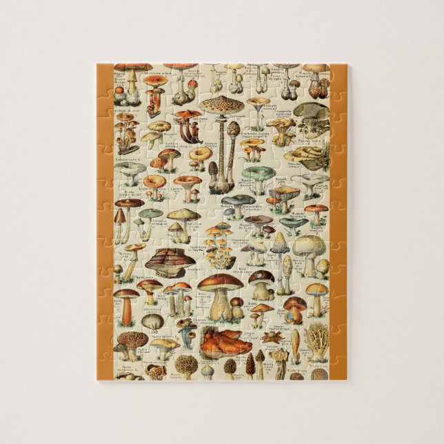 Puzzle Collection de champignons (Vertical)