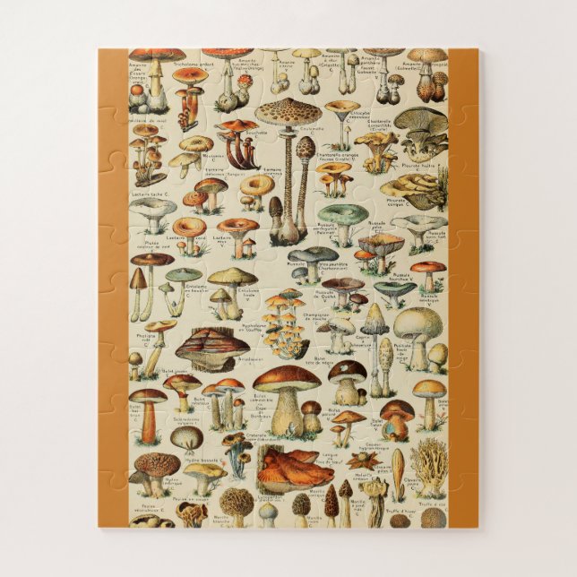 Puzzle Collection de champignons (Vertical)