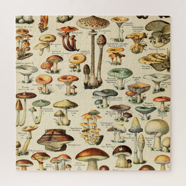 Puzzle Collection de champignons (Vertical)