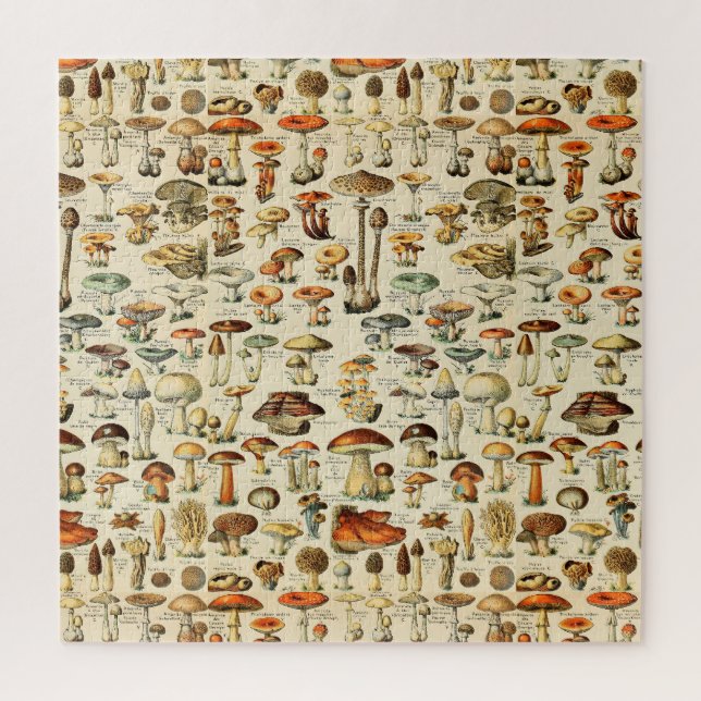 Puzzle Collection de champignons (Vertical)