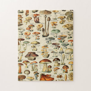 Puzzle Collection de champignons