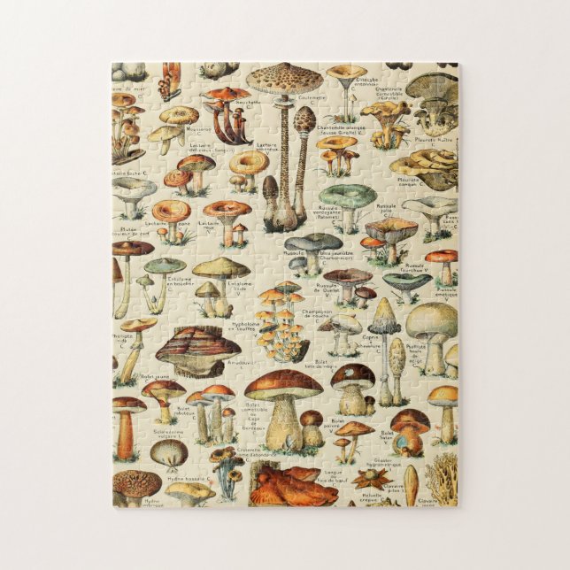 Puzzle Collection de champignons (Vertical)