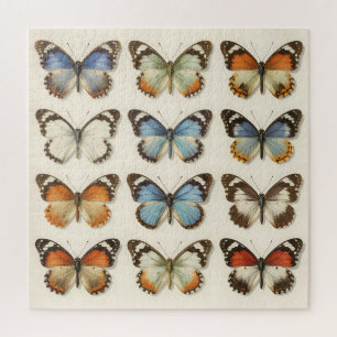 Puzzle Collection de spécimens de papillons vintage
