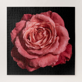 Puzzle Collection Rose Élégante sur Fond Noir