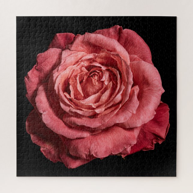 Puzzle Collection Rose Élégante sur Fond Noir (Vertical)