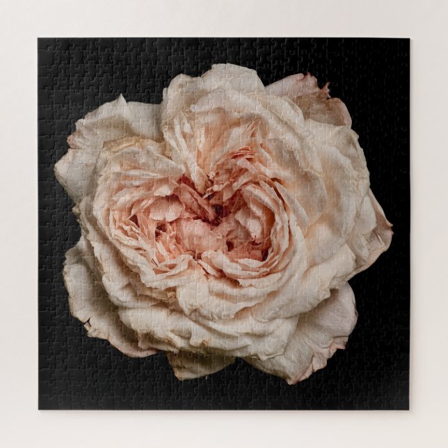 Puzzle Collection Rose Élégante sur Fond Noir (Vertical)