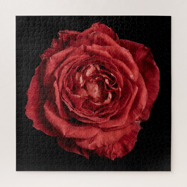 Puzzle Collection Rose Élégante sur Fond Noir (Vertical)