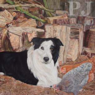 Puzzle collie à la frontière noire et blanche avec poulet