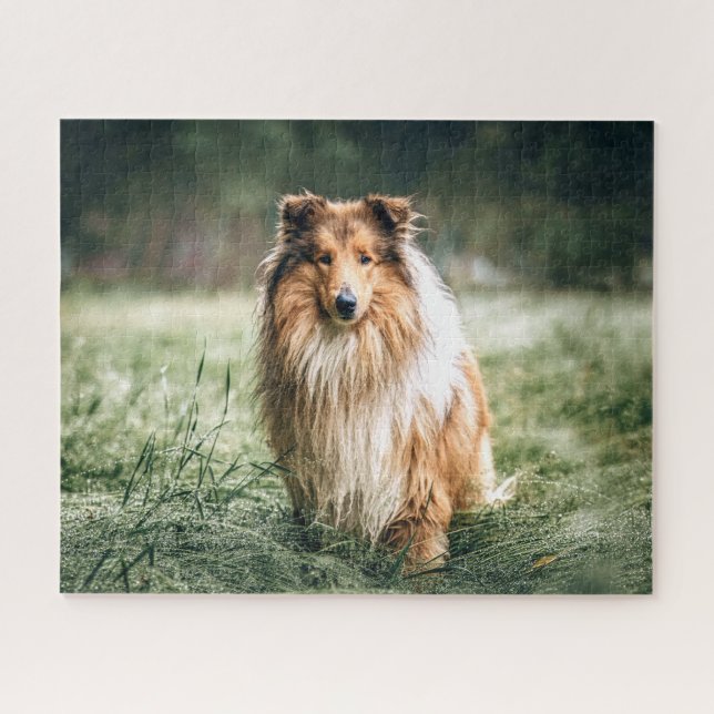Puzzle Collie dans le Comté de Rough (Horizontal)
