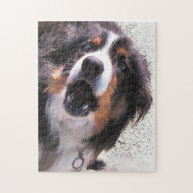PUZZLE COLLIE FRONTALIÈRE (Vertical)