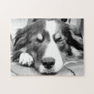 PUZZLE COLLIE FRONTALIÈRE