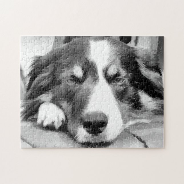 PUZZLE COLLIE FRONTALIÈRE (Horizontal)