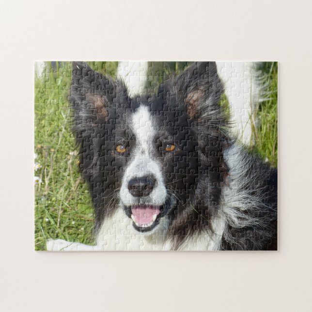 Puzzle Collie frontière noire et blanche (Horizontal)