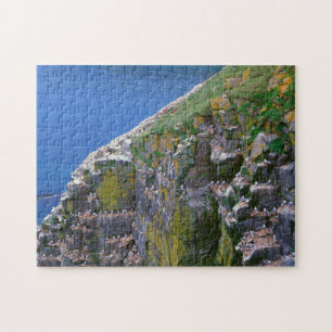 Puzzle Colonie d'oiseaux de mer sur une falaise rocheuse