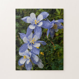 Puzzle Colorado Blue Columbine près de Telluride Colorad