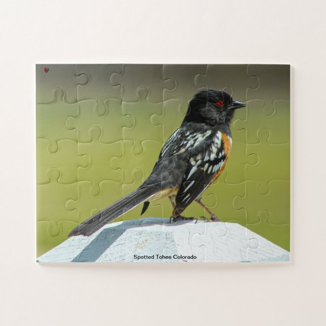 Puzzle Colorado de Towhee (Horizontal)