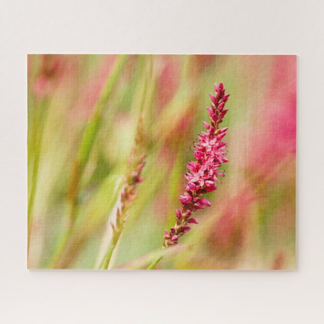 Puzzle colorbush (Horizontal)