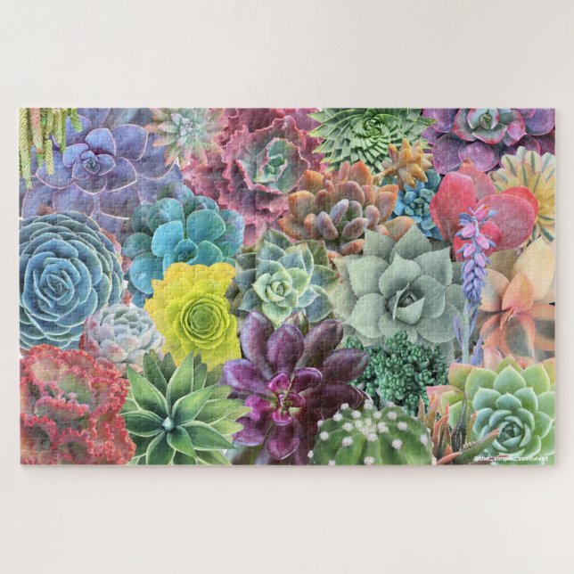 Puzzle coloré et succulent (Horizontal)