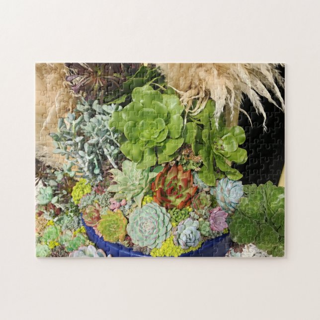 Puzzle Colorful Succulents with Silver Grass (Horizontal)