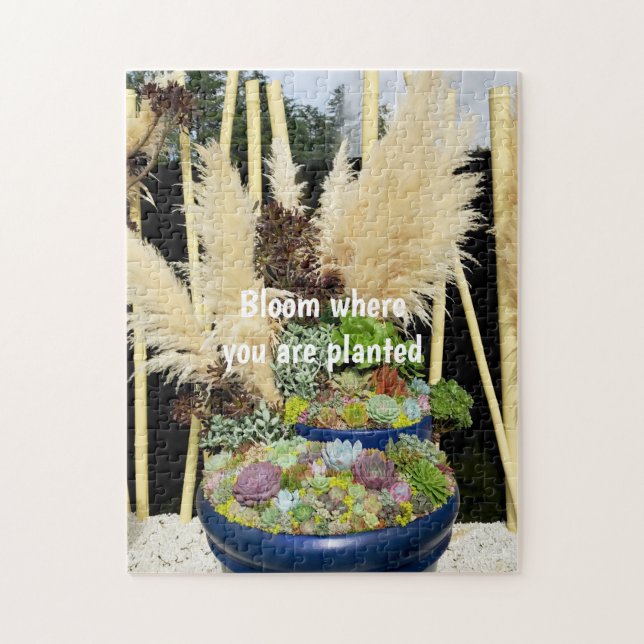 Puzzle Colorful Succulents with Silver Grass (Vertical)