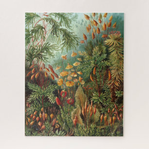 Puzzle Colorful Vintage Nature Forêt sauvage Illustration