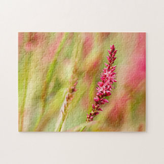 Puzzle coloris