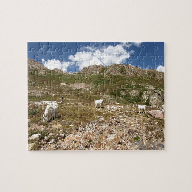 Puzzle Columbine Lake Mountain Chèvres - Colorado (Horizontal)