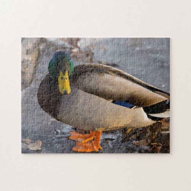 Puzzle Colvert sur glace (Horizontal)