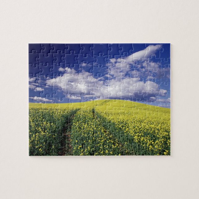 Puzzle Colza jaune dans le comté de Whitman, État de Wash (Horizontal)