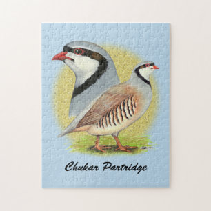 Puzzle Combo de perdrix de Chukar