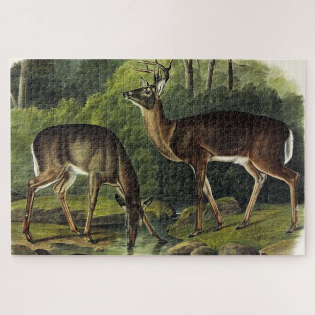 Puzzle Common Deer (Horizontal)