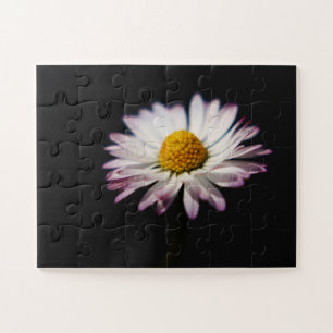 Puzzle Commune Daisy 11x14 30pc jpcn