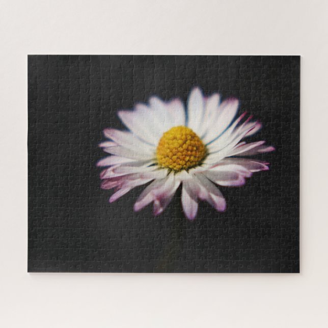 Puzzle Commune Daisy 16x20 jpcn 520pc (Horizontal)