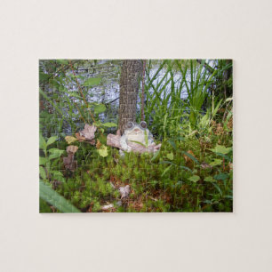 Puzzle compact de grenouille et de rondin