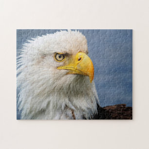 Puzzle Concepteur de portraits d'aigle à tête blanche amé