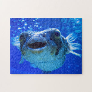 Puzzle Conception bleue du poisson-chat