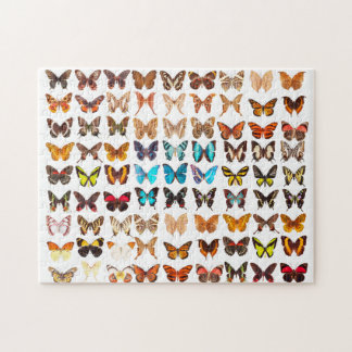 Puzzle Conception de collection de papillons Extraordinai