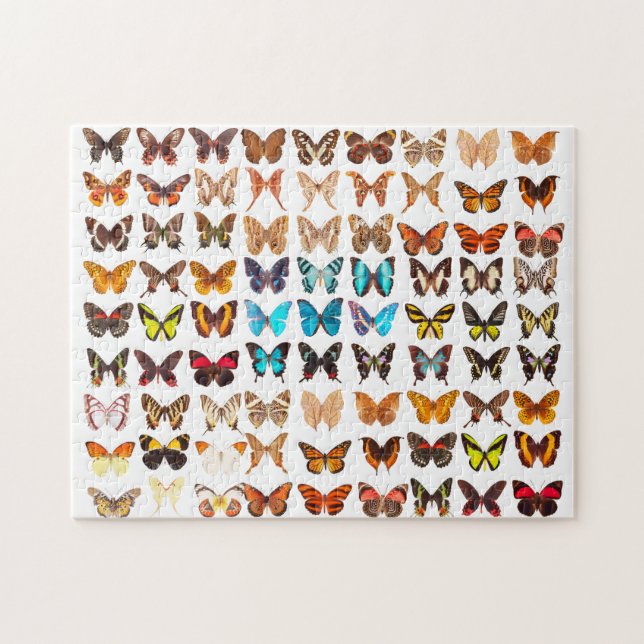 Puzzle Conception de collection de papillons Extraordinai (Horizontal)